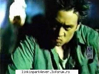 Photos - dee-dee-LP - Mr. Hahn (Joe)